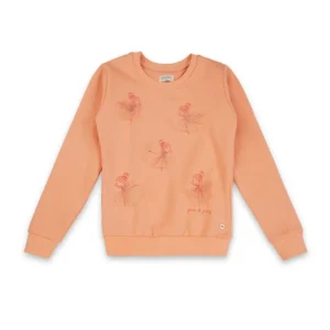 Boys Cotton Printed Sweatshirt