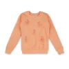Boys Cotton Printed Sweatshirt