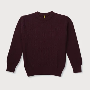 Gini & Jony Boys Red Solid Woven Full Sleeves Sweater