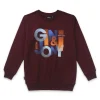 Boys Printed Fleece Sweat Shirt