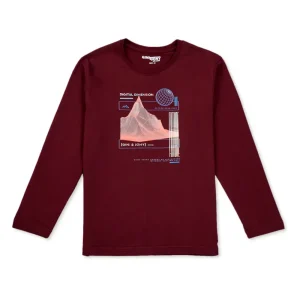 Gini And Jony Boys Grey Printed Cotton Full Sleeves T-Shirt