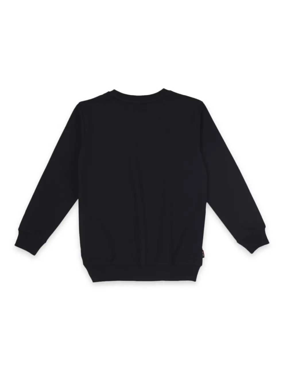 Boys Blue Cotton Printed Sweatshirt