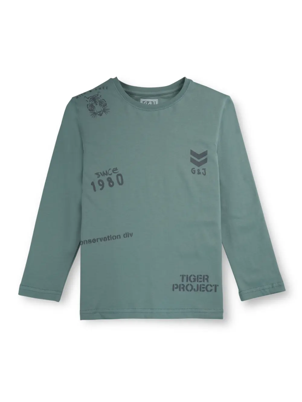 Gini And Jony Boys Green Solid Cotton Full Sleeves T-Shirt