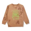 Boys Blue Cotton Printed Sweatshirt