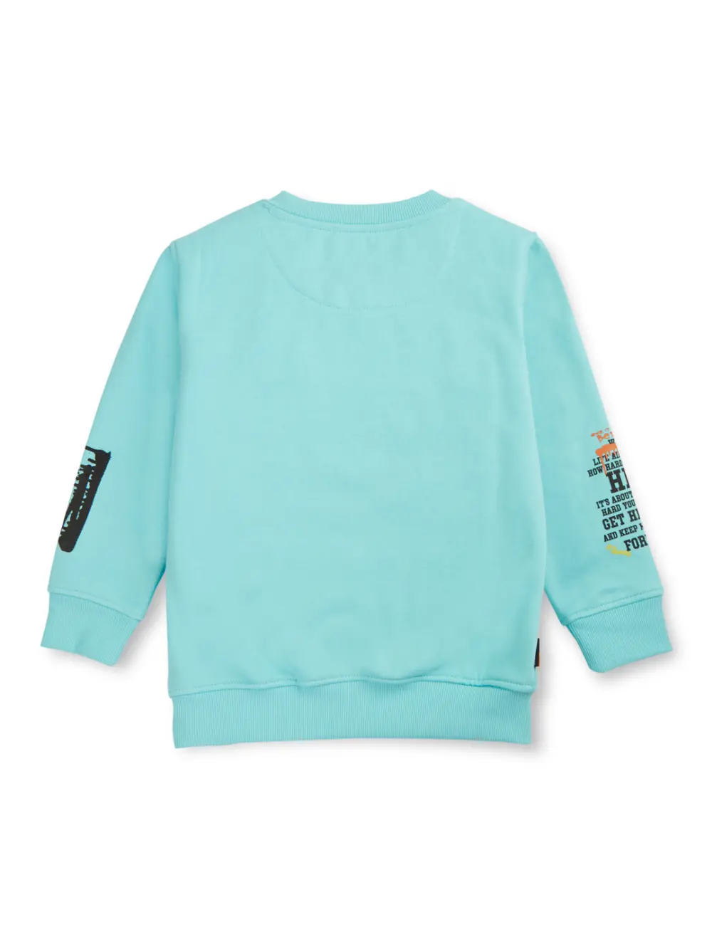 Boys Blue Cotton Printed Sweatshirt