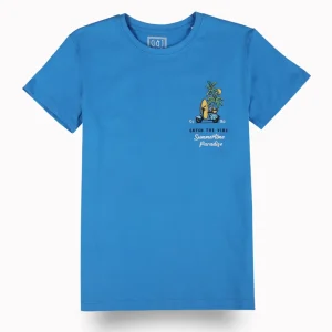 Gini And Jony Boys Blue Graphic Print Cotton T-Shirt Half Sleeves
