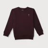 Boys Blue Cotton Printed Sweatshirt