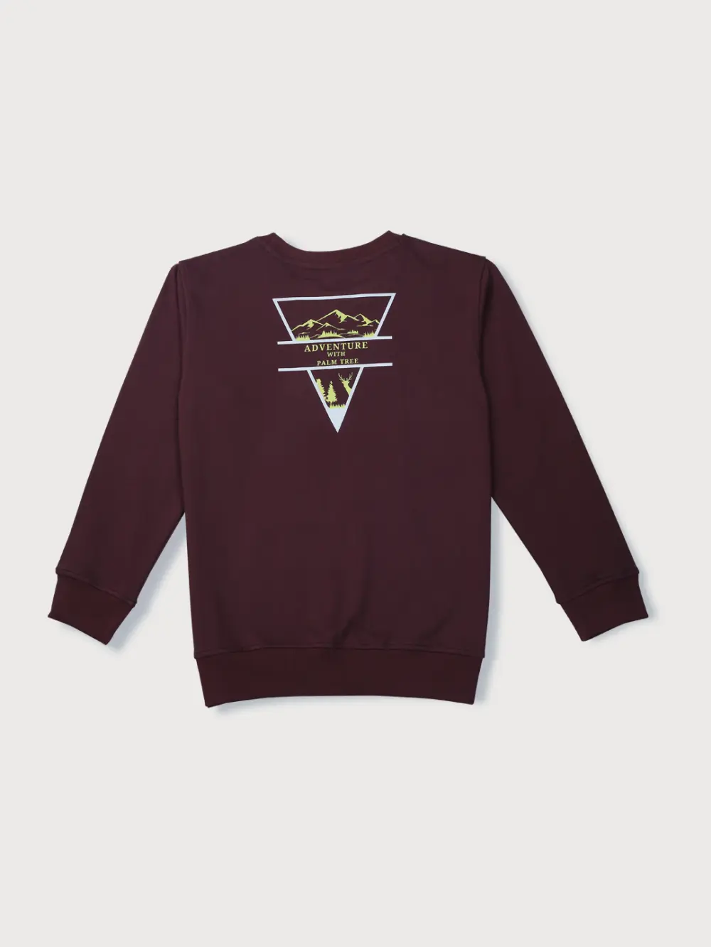 Boys Blue Cotton Printed Sweatshirt