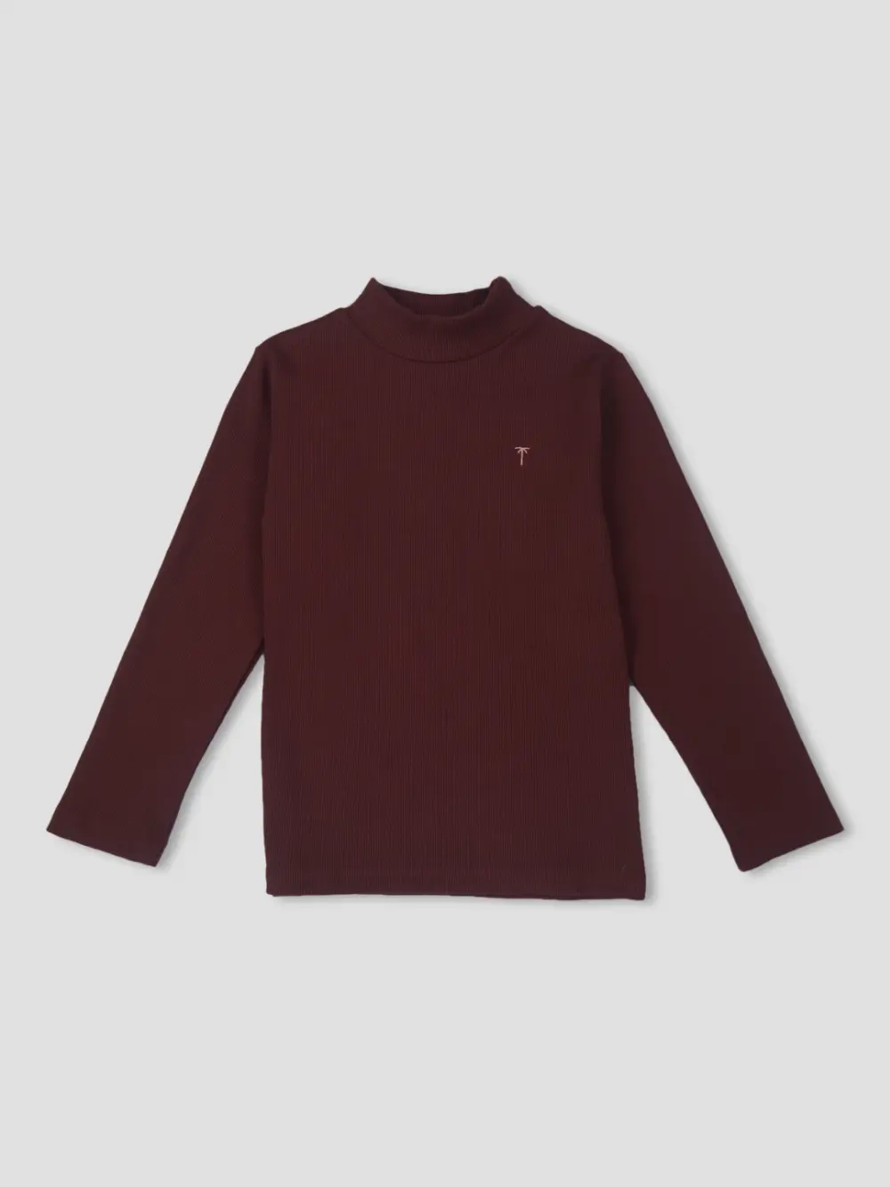 Palm Tree Girls Maroon Solid Cotton Skivvy Full Sleeves 13-14 Years