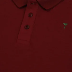 Palm Tree Boys Maroon Solid Cotton Polo T-Shirt Half Sleeves