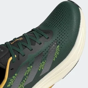 Supernova Earth Day Shoes
