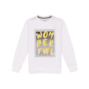 Boys Printed Lightweight Sweatshirt