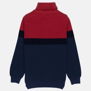 Status Quo Boys Solid Turtle Neck Sweater
