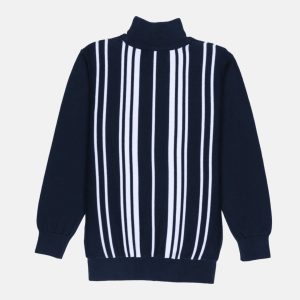 Boys Striped Turtle Neck Sweater