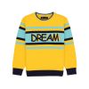 Boys Printed Round Neck Sweater