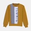 Boys Mix & Match Round Neck Sweatshirt