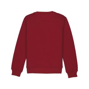 Boys Mix & Match Round Neck Sweatshirt