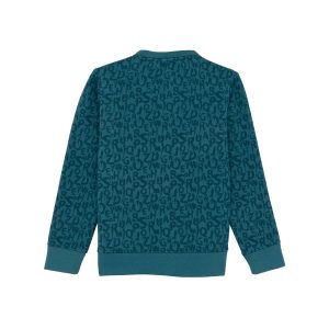 Boys Printed Round Neck Sweatshirt