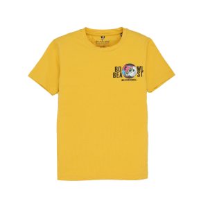 Status Quo Boys Graphic Print Round Neck Half Sleeves Regular Fit Tshirt
