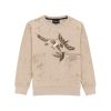 Status Quo Boys Birds And Typography Printed Round Neck Fleece Full Sleeve Sweatshirt