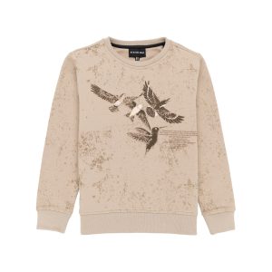Status Quo Boys Birds And Typography Printed Round Neck Fleece Full Sleeve Sweatshirt