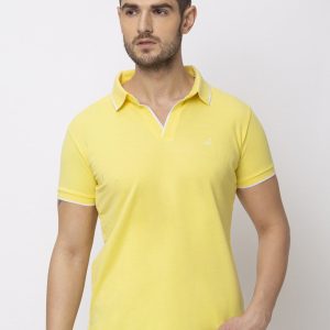Status Quo Men'S New Basic Solid Regular Fit V-Neck Tshirt