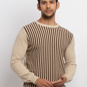 Mens Striped Round Neck Sweater
