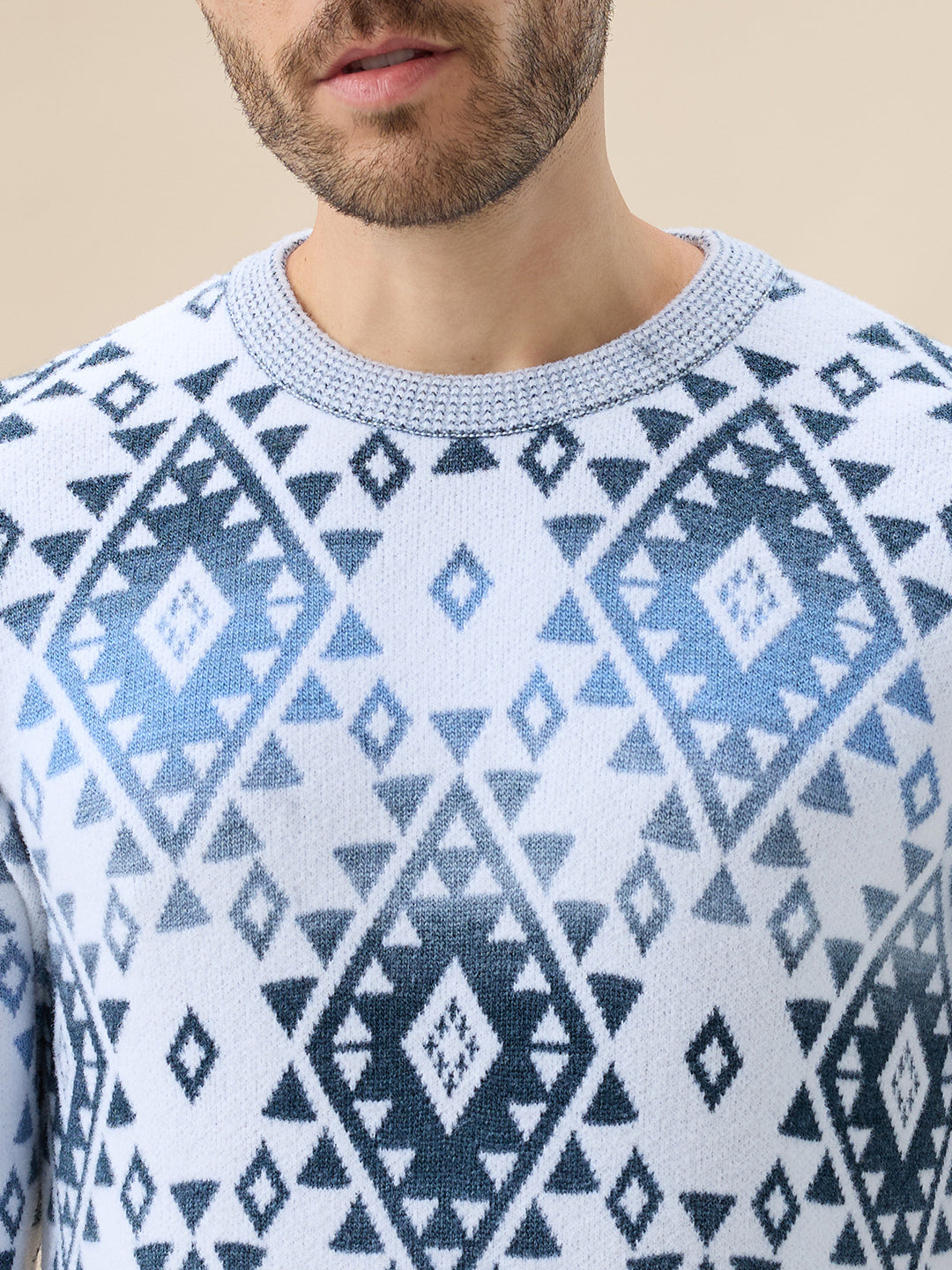 Status Quo Men'S All Over Fair Isle Round Neck Regular Fit Full Sleeves Sweater