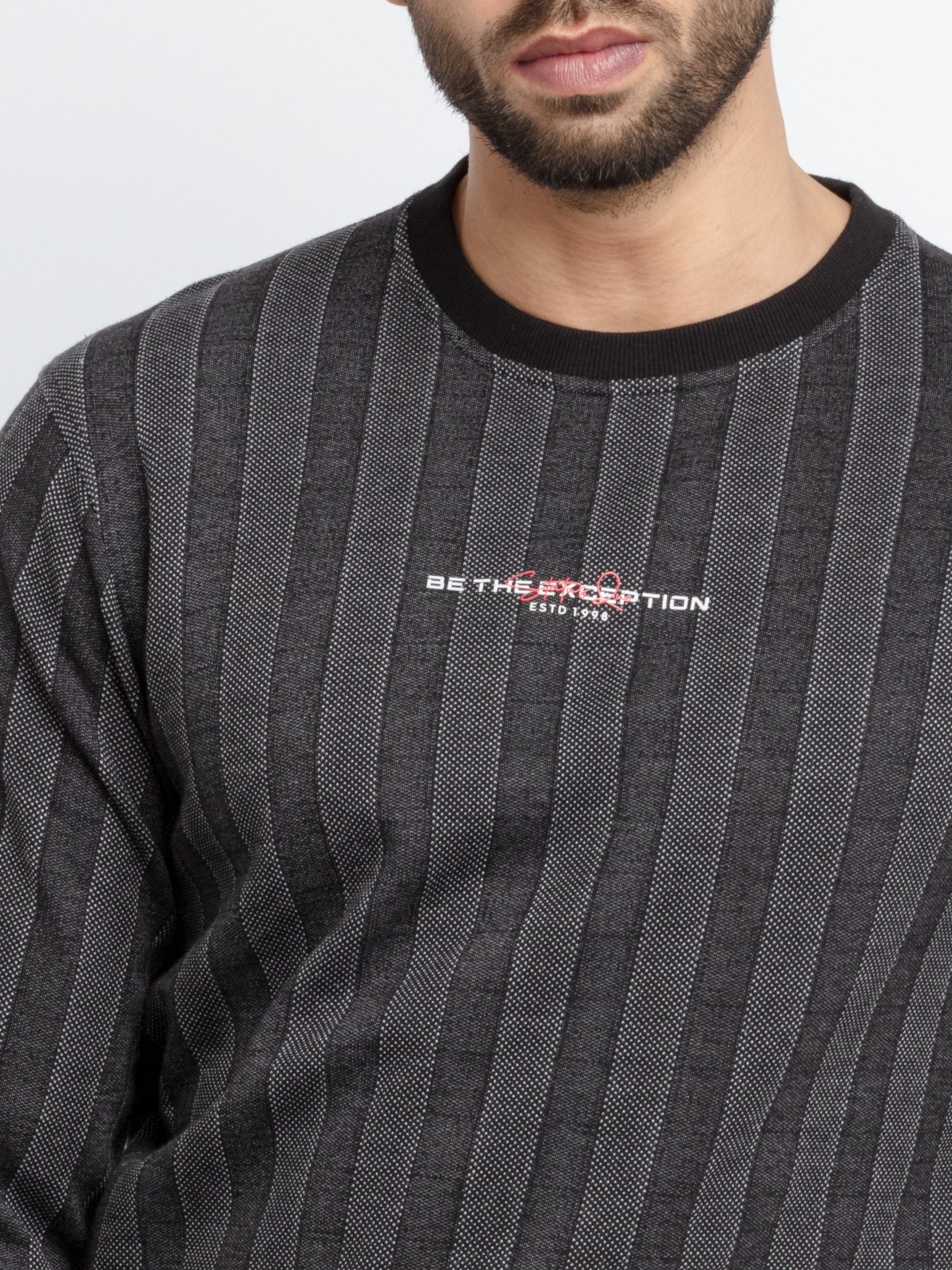 Mens Regular Fit Round Neck Striped T-Shirt