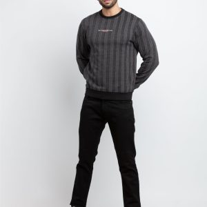 Mens Regular Fit Round Neck Striped T-Shirt