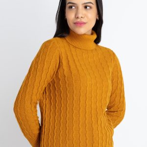 Womens Solid High Neck Sweater